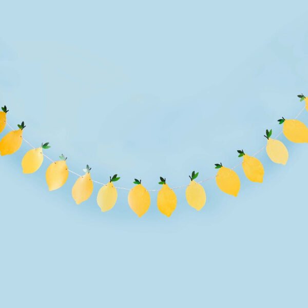 Lemon Decorative Garland (2.5m) - 图片 2