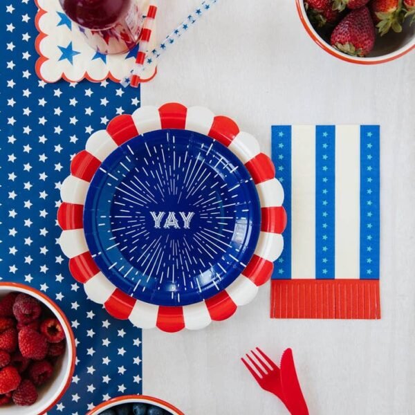 Stripes with Fringe Napkin - 图片 2