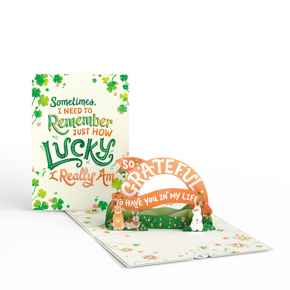 Lucky Shamrock 3-Pack - 图片 6