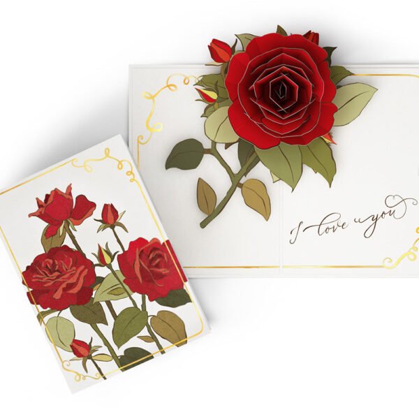 I Love You Roses Pop-Up Card & Bouquet Bundle - 图片 2