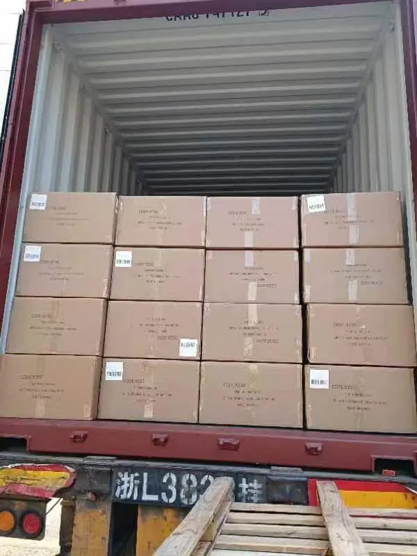 Fully loaded export container of party supplies